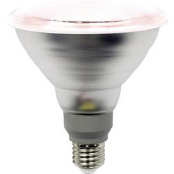 LightMe LED lampa na rostliny LM85322 138 mm 230 V E27 12 W   žárovka  1 ks