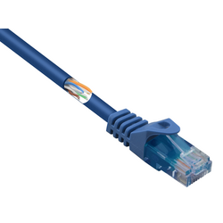 Renkforce RF-5043858 RJ45 síťové kabely, propojovací kabely CAT 5e U/UTP 10.00 m modrá s ochranou, bez halogenů 1 ks