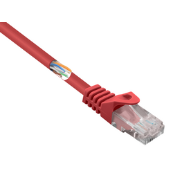 Renkforce RF-5043992 RJ45 síťové kabely, propojovací kabely CAT 5e U/UTP 0.25 m červená s ochranou 1 ks