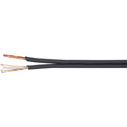 BKL Electronic 1106001/10 audio kabel  2 x 0.14 mm² černá 10 m