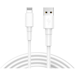 REEKIN Apple iPad/iPhone/iPod kabel [1x USB 2.0 zástrčka A - 1x dokovací zástrčka Apple Lightning] 1.00 m bílá