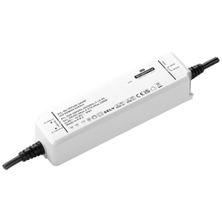 Dehner Elektronik SPF 100-24VSP napájecí zdroj pro LED, LED driver konstantní napětí 100 W 4.1 A 24 V schválení nábytku , ochrana proti přepětí , přepětí 1 ks