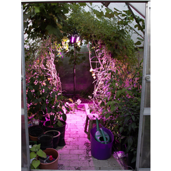 Venso LED lampa pro růst rostlin  65 cm 230 V pevně vestavěné LED 60 W  RGBW   1 ks