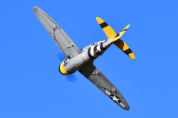 65" P-47 Easy Angels - 1,65m Aces High
