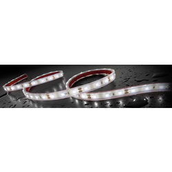 Staudte-Hirsch LED pásek, LED pásky, LED interiérové osvětlení 570031 SH-5.620 24 V LED 24 V (d x š x v) 1 m x 12 mm x 5 mm