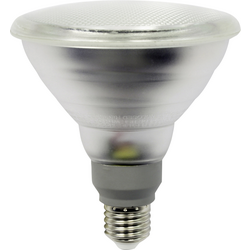 LightMe LM85123 LED Energetická třída (EEK2021) G (A - G) E27 žárovka 12 W = 116 W teplá bílá (Ø x d) 122 mm x 132 mm  1 ks