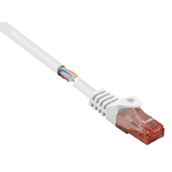 Basetech BT-2270707 RJ45 síťové kabely, propojovací kabely CAT 6 U/UTP 0.25 m bílá s ochranou, bez halogenů 1 ks