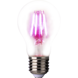 LightMe LED lampa na rostliny LM85320 109 mm 230 V E27 4 W klasická žárovka 1 ks