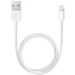 Apple Apple iPad/iPhone/iPod kabel [1x USB 2.0 zástrčka A - 1x dokovací zástrčka Apple Lightning] 0.50 m bílá