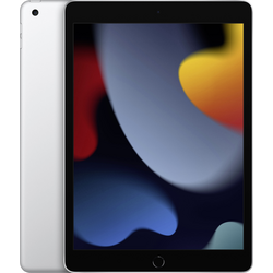 Apple 10,2 palcový iPad (9. generace) WiFi 256 GB stříbrná 25.9 cm (10.2 palec) 2160 x 1620 Pixel