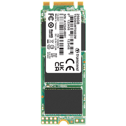 Transcend MTS602M 256 GB interní SSD disk SATA M.2 2260 SATA III Retail TS256GMTS602M