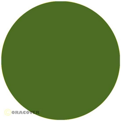 Oracover 54-042-002 fólie do plotru Easyplot (d x š) 2 m x 38 cm světle zelená