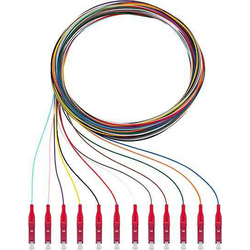 Rutenbeck 228040102 optické vlákno optické vlákno kabel [12x zástrčka LC - 12x kabel s otevřenými konci]  Multimode OM4