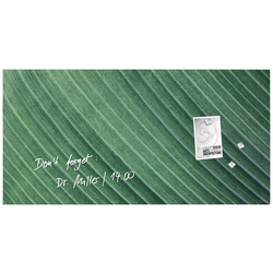 Sigel magnetický skleněný stůl Artverum Palm Leaf (š x v) 91 cm x 46 cm zelená GL371