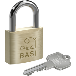 Basi V5091-0050-0011 visací zámek  zámky se stejným klíčem    visací zámek s profilovou vložkou