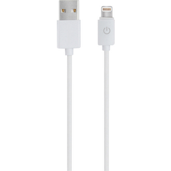 RealPower USB kabel USB 2.0 USB-A zástrčka, Apple Lightning konektor 1.00 m bílá  255649