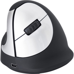 R-GO Tools RGOHEWLL Bezdrátová ergonomická myš bezdrátový optická černá, stříbrná 4 tlačítko 1750 dpi ergonomická