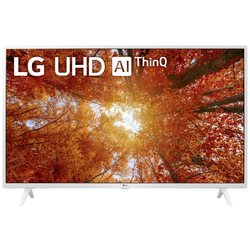 LG Electronics 43UQ76909LE.AEUD LED TV 109 cm 43 palec Energetická třída (EEK2021) G (A - G) DVB-C, DVB-S2, DVB-T2, UHD, Smart TV, WLAN, PVR ready, CI+ bílá