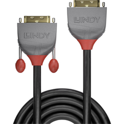 LINDY DVI prodlužovací kabel DVI-D 24+1pol. Zástrčka, DVI-D 24+1pol. zásuvka 0.50 m černá 36230  DVI kabel