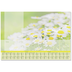 Sigel  HO307  psací podložka  Lovely Daisies  3letý kalendář  zelená, žlutá, bílá  (š x v) 59.5 cm x 41 cm