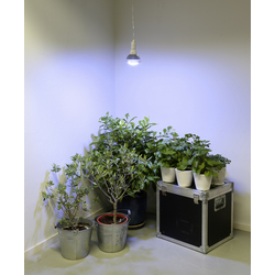 Venso lampa na rostliny  136 mm 230 V E27 18 W  neutrální bílá žárovka  1 ks