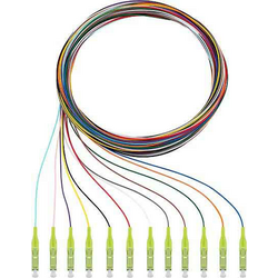 Rutenbeck 228040202 optické vlákno optické vlákno kabel [12x zástrčka LC - 12x kabel s otevřenými konci]  Multimode OM5