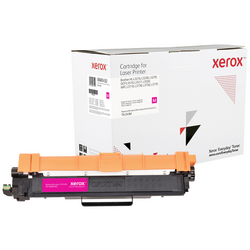 Xerox toner náhradní Brother TN-243M kompatibilní purppurová 1000 Seiten Everyday