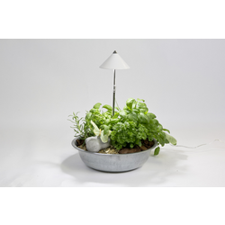Venso LED lampa na rostliny SUNLiTE  230 V pevně vestavěné LED 7 W  neutrální bílá   1 ks
