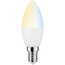 Paulmann 50126 LED Energetická třída (EEK2021) G (A - G) E14 svíčkový tvar 5 W = 35 W teplá bílá (Ø x v) 38 mm x 105 mm 1 ks
