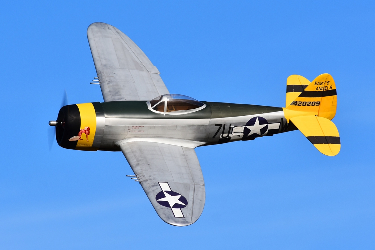 65&quot; P-47 Easy Angels - 1,65m