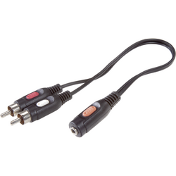 SpeaKa Professional SP-7870256 cinch / jack audio kabel [2x cinch zástrčka - 1x jack zásuvka 3,5 mm] 1.50 m černá