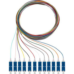 Rutenbeck 228040802 optické vlákno optické vlákno kabel [12x zástrčka SC - 12x kabel s otevřenými konci]  Singlemode OS2