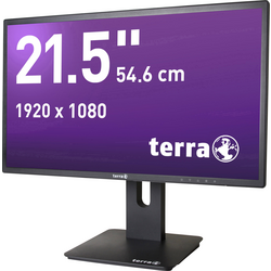 Terra LED 2256W PV LED monitor 54.6 cm (21.5 palec) Energetická třída (EEK2021) D (A - G) 1920 x 1080 Pixel Full HD 5 ms DisplayPort, Audio-Line-in , VGA ADS LED
