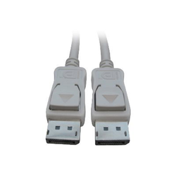 Fujitsu DisplayPort kabel Konektor DisplayPort, Konektor DisplayPort 2.00 m černá S26391-F6055-L219 Kabel DisplayPort