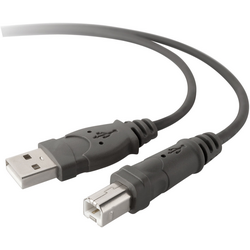 Belkin USB kabel USB 2.0 USB-A zástrčka, USB-B zástrčka 3.00 m šedá  F3U133b10