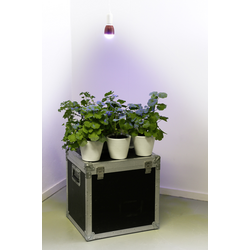 Venso lampa na rostliny  113 mm 230 V E27 7 W  neutrální bílá klasická žárovka  1 ks