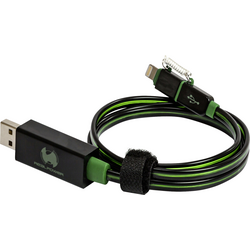 RealPower USB kabel USB 2.0 USB-A zástrčka, Apple Lightning konektor 0.75 m zelená s LED 185962