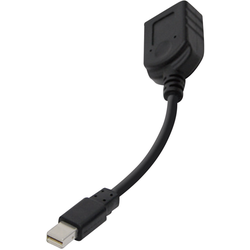 club3D CAC-1110 DisplayPort adaptér [1x mini DisplayPort zástrčka - 1x zásuvka DisplayPort] černá  20.00 cm