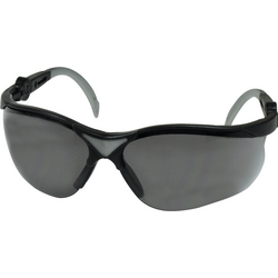 L+D Profi-X IONIC 26661SB ochranné brýle  černá, stříbrná DIN EN 166-1