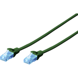 Digitus DK-1511-030/G RJ45 síťové kabely, propojovací kabely CAT 5e U/UTP 3.00 m zelená 1 ks
